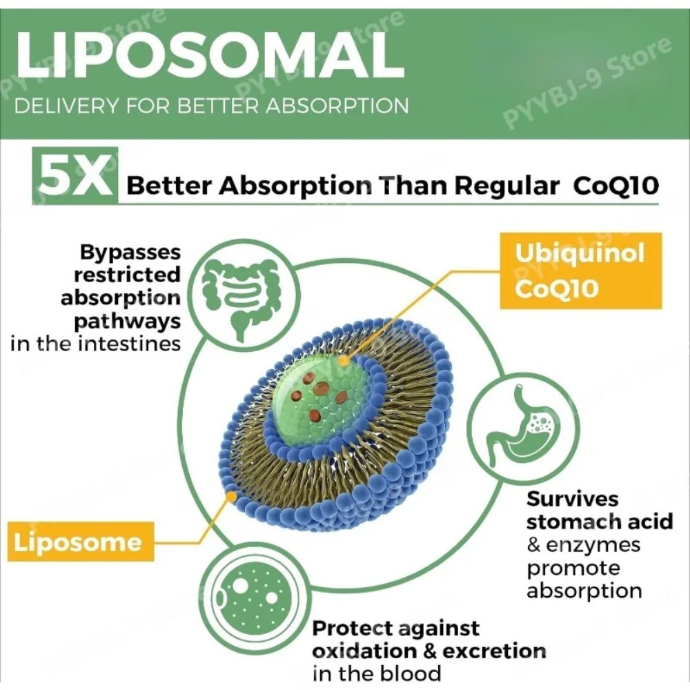 Коллагеновый комплекс CoQ10 Ub – обзор и цена Coq10 Ubiquinol Softgel